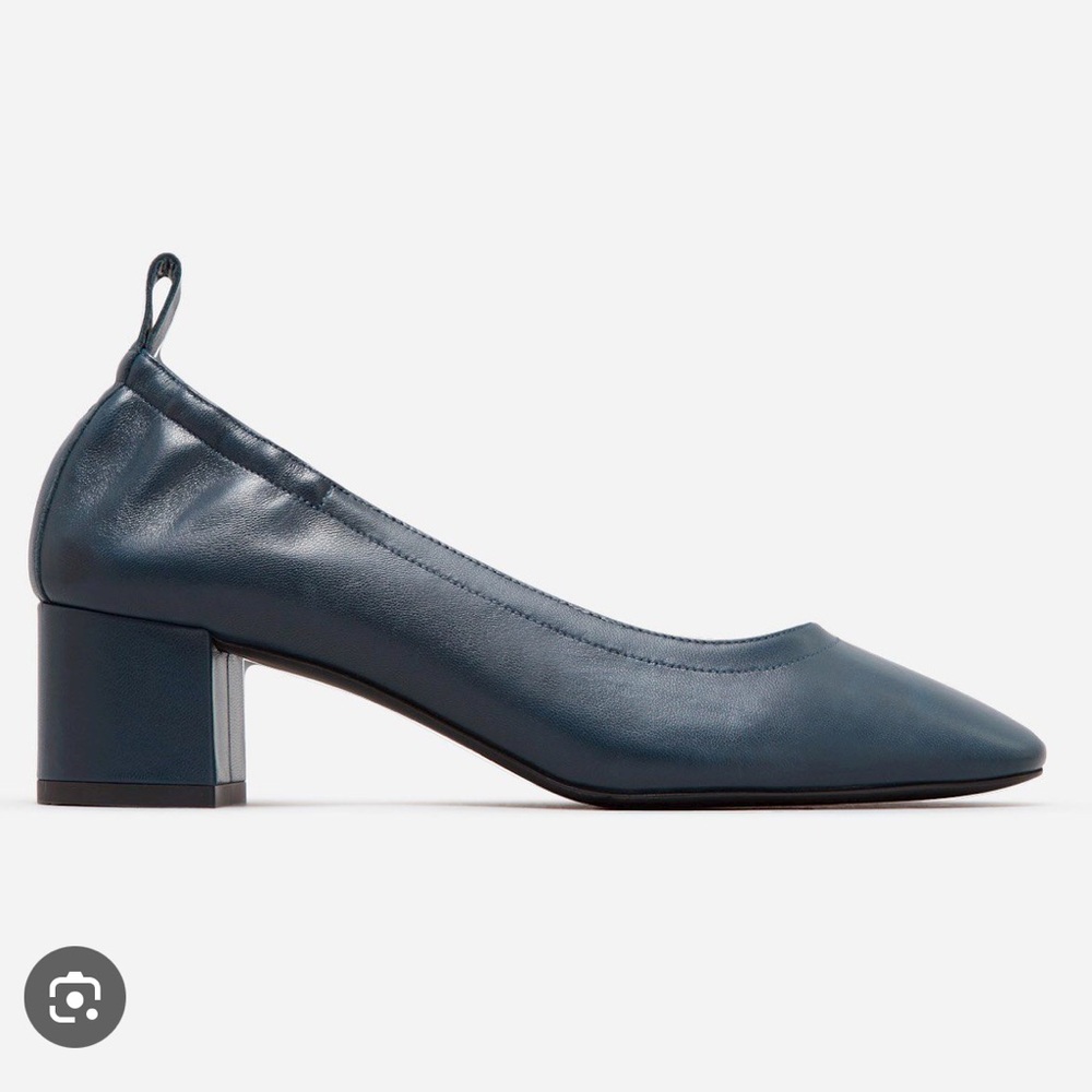 Everlane Suede Day Heel